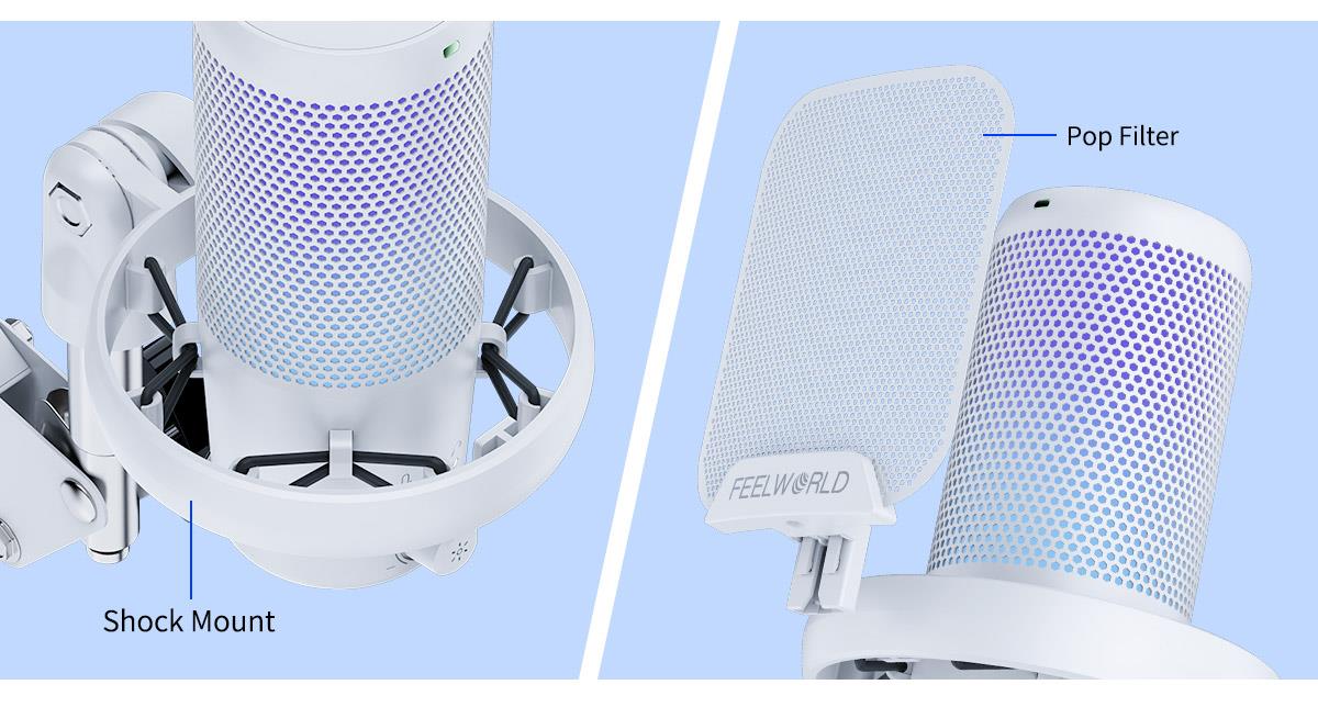 pop filter mic